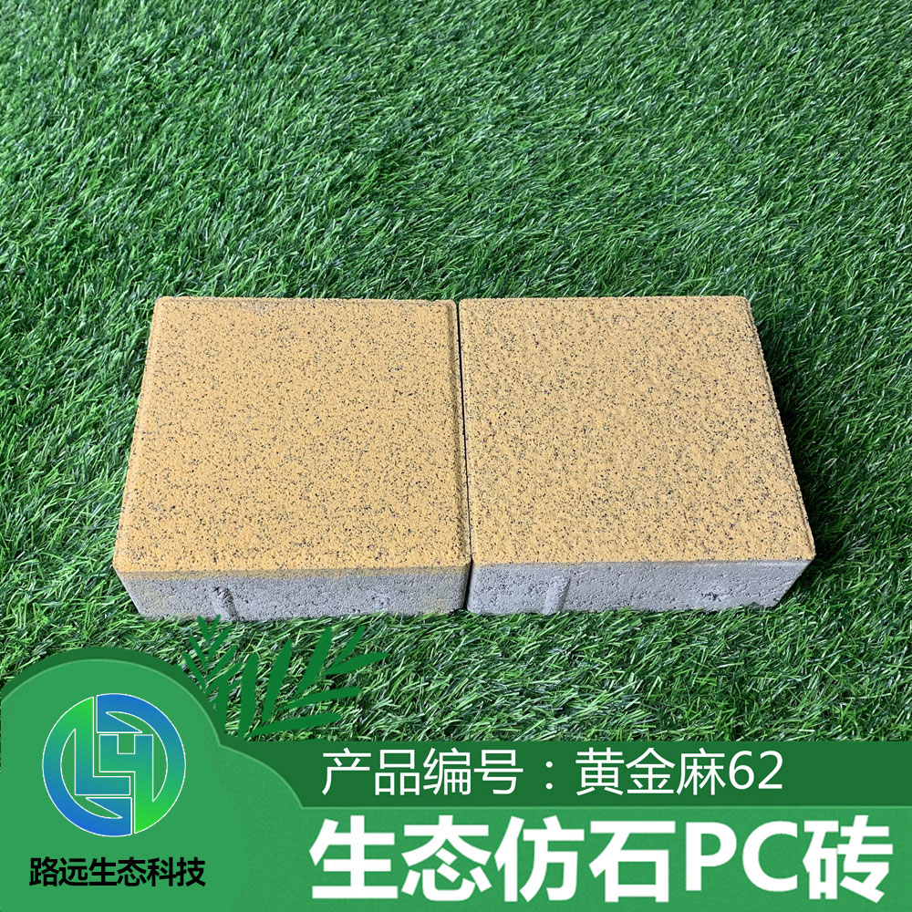 黄金麻62