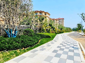 市政道路改造项目